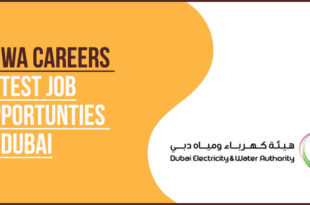 DEWA Jobs Engineering and Energy Sector Vacancies In Dubai