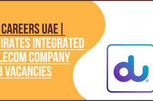 du Careers UAE Telecom and Digital Technology Professional Roles