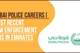 Dubai Police Careers Law Enforcement and IT Professional Roles