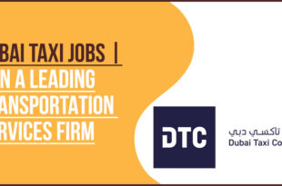 Dubai Taxi Corporation Red Roof Camry and Airport Van Driver