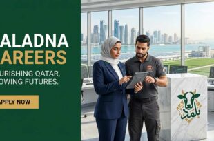 Baladna Careers