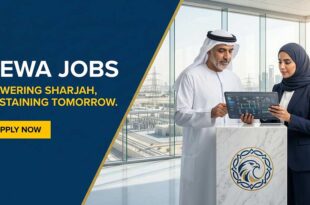 SEWA Jobs