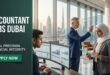 Accountant Jobs in Dubai